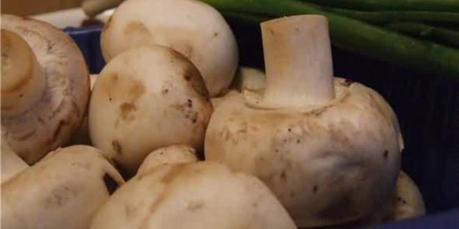 Рецепт рисовой лапши с креветками, мидиями и овощами