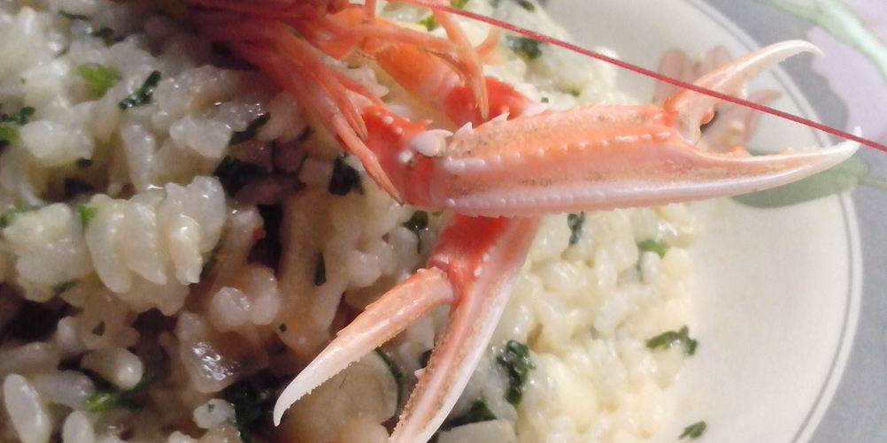 Как приготовить ризотто с морскими гадами
