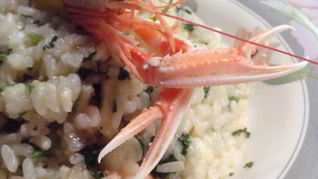 Рецепт Ризотто с морскими гадами
