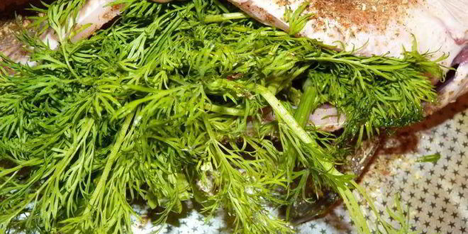 Рецепт ароматного карпа запеченного с зеленью
