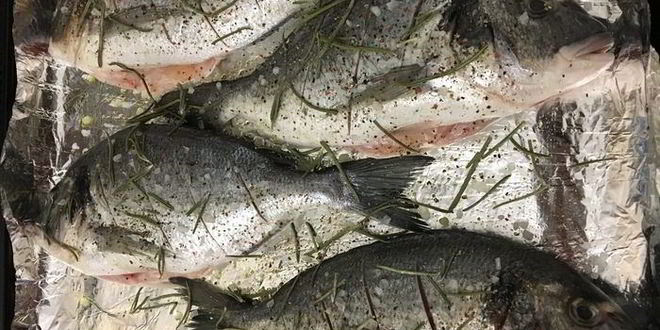 Рецепт дорады с овощным гарниром