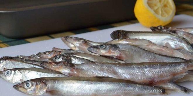 Рецепт мойвы в духовке