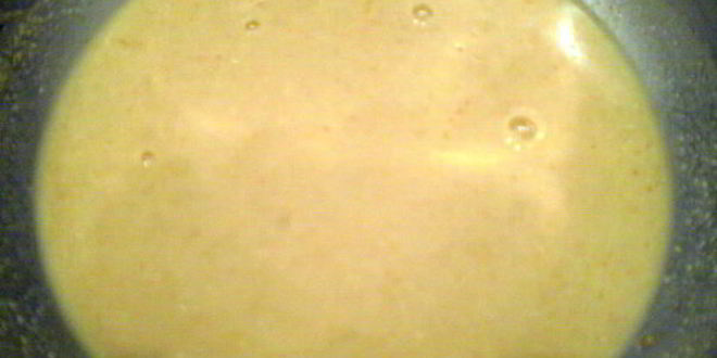 Рецепт морского окуня под горчично-мандариновым соусом