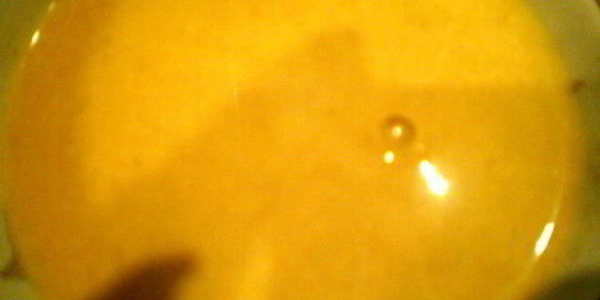 Рецепт морского окуня под горчично-мандариновым соусом