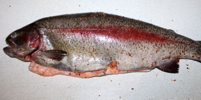 Рецепт радужной форели в духовке