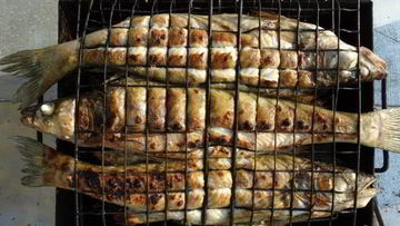 Рецепт Рыбы на мангале