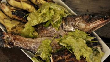 Рецепт Щуки с салатом из савойской капусты