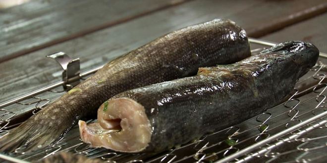 Рецепт щуки с салатом из савойской капусты