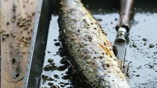 Рецепт Скумбрии в специях на гриле