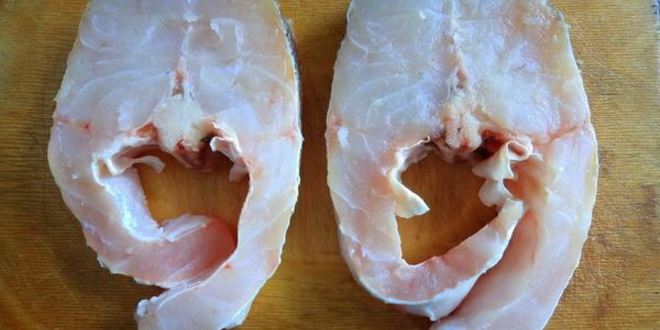 Рецепт судака на гриле