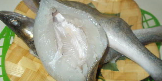 Рецепт судака, запеченного по-талабсков