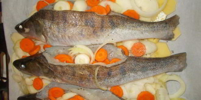 Рецепт судака, запеченного по-талабсков