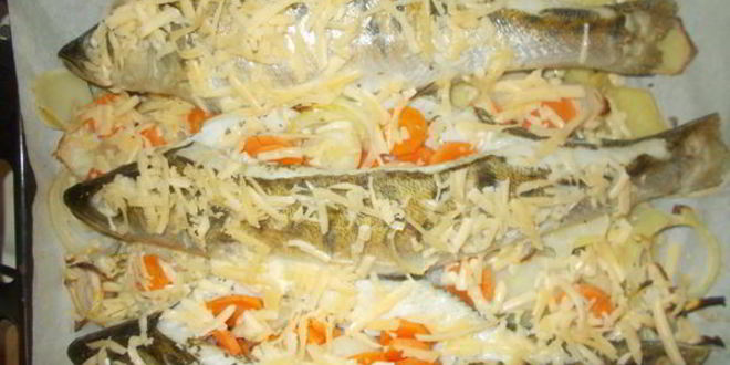 Рецепт судака, запеченного по-талабсков