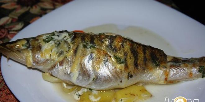 Рецепт судака, запеченного по-талабсков