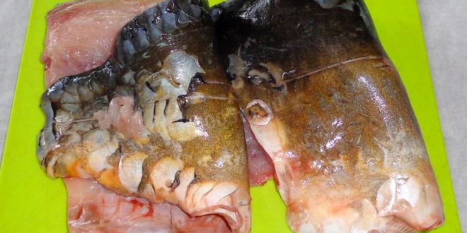 Рецепт тушенки из рыбы