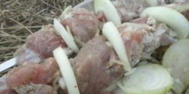 Рецепт настоящего шашлыка из баранины