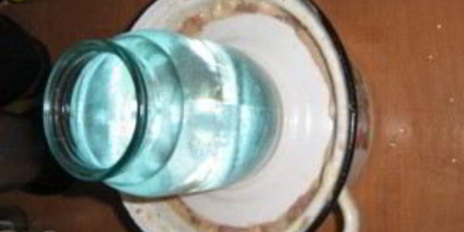 Рецепт шашлыка из говядины с киви