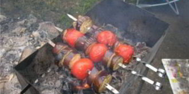 Рецепт шашлыка из косули