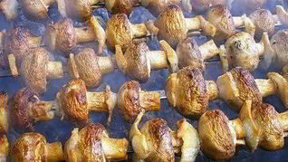 Рецепт Шашлыка из овощей и грибов