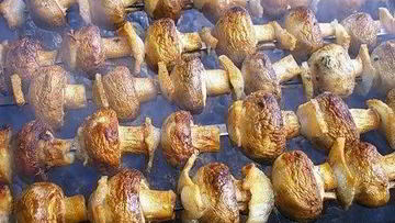 Рецепт Шашлыка из овощей и грибов