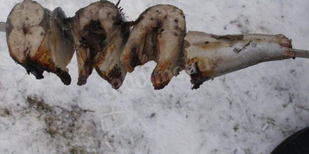 Как приготовить шашлык из скумбрии