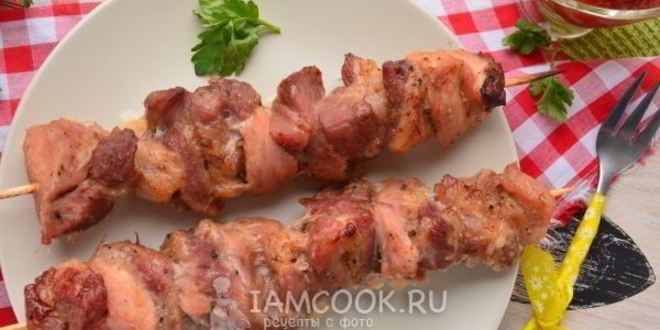 Рецепт шашлыка из свинины в фольге в духовке