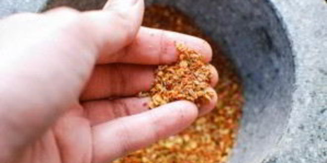 Рецепт шашлыков из баранины