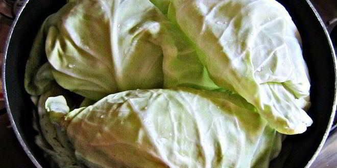 Рецепт пикантных шницелей из молодой капусты