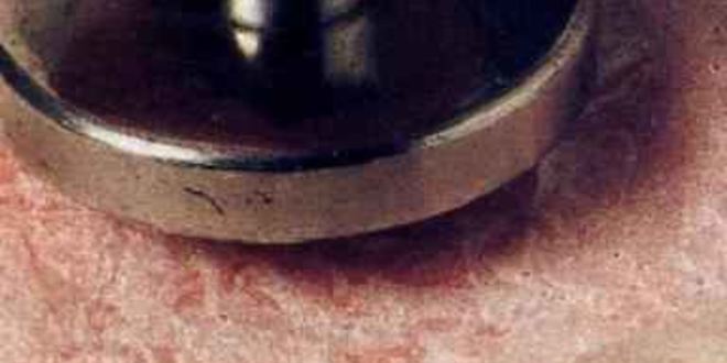 Рецепт шницели аллы миланезе фаршированные