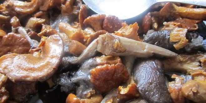 Рецепт тефтелек в белом соусе