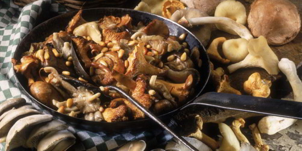 Как приготовить жаркое с летними опятами