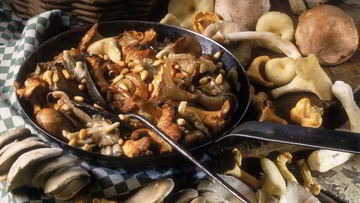 Рецепт Жаркого с летними опятами