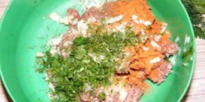 Рецепт зраз с мясом и грибами