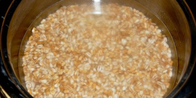 Рецепт кутьи богатой