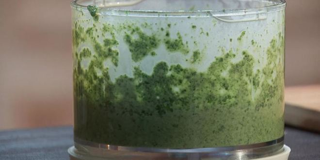 Рецепт перловки с вешенками под соусом из шпината