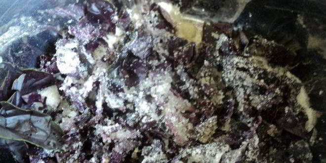 Рецепт базиликова-медового напиток