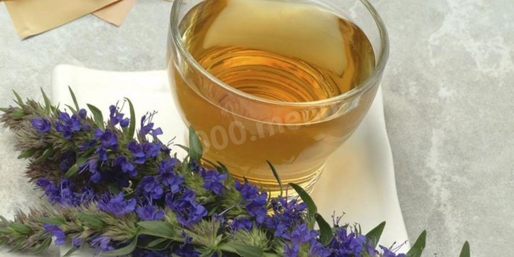 Как приготовить чай с иссопом