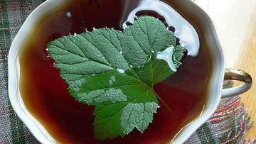 Рецепт Чая с листьями смородины