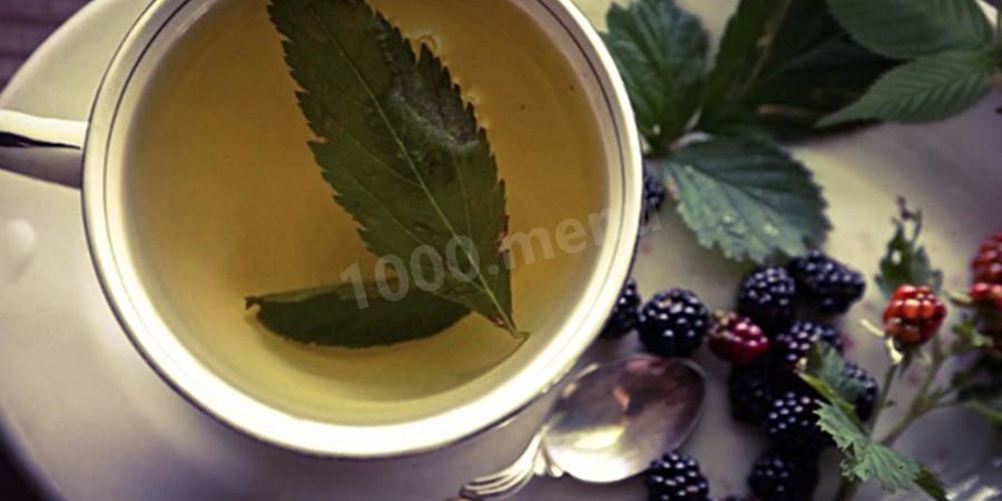 Как приготовить листья ежевики чай