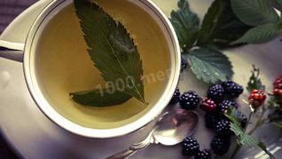 Рецепт Листьев ежевики чай