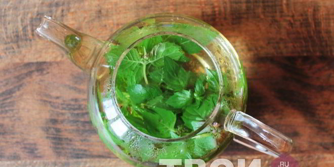 Рецепт марокканского чая