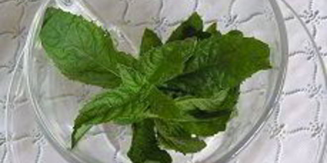 Рецепт марокканского мятного чая