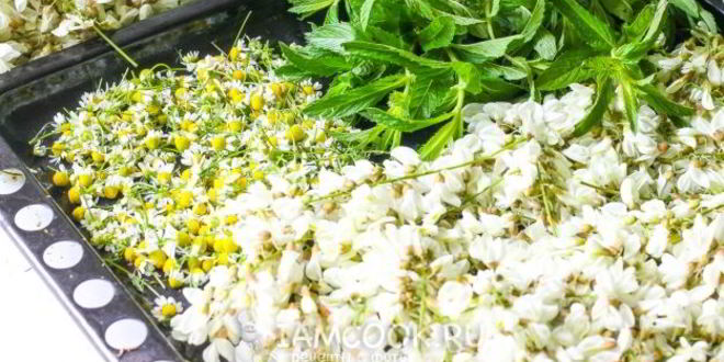 Рецепт цветочного чая с ромашкой, акацией и мятой
