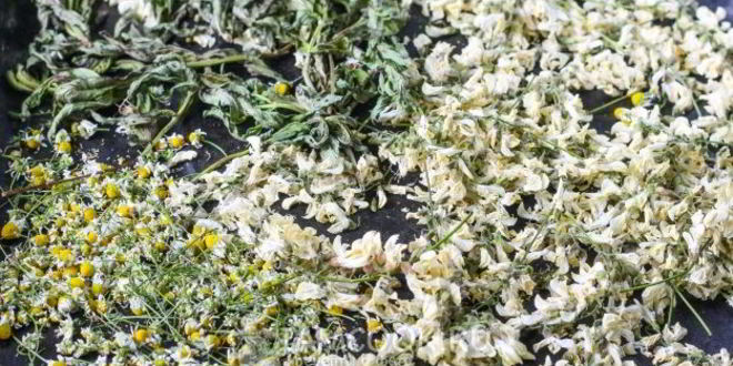 Рецепт цветочного чая с ромашкой, акацией и мятой