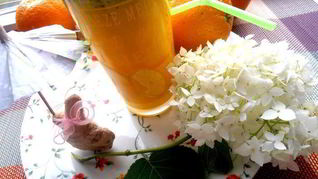 Рецепт Фанты с имбирем и мятой