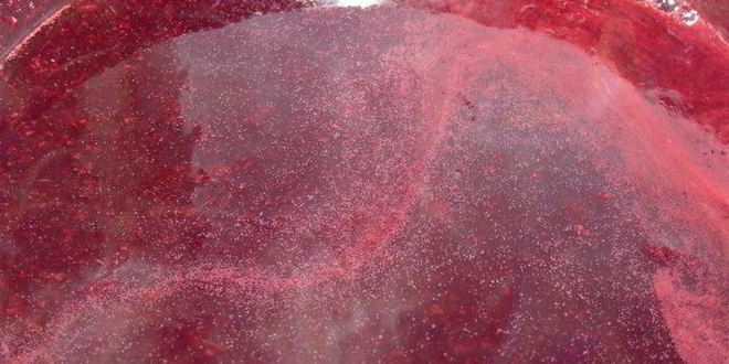 Рецепт бархатного чернично-сливочный кисель