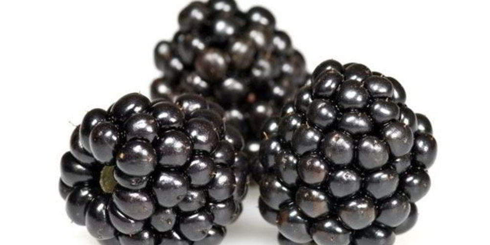 Как приготовить кисель из ежевики