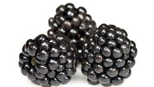 Рецепт Киселя из ежевики