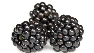 Рецепт Киселя из ежевики