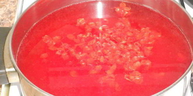 Рецепт киселя из калины